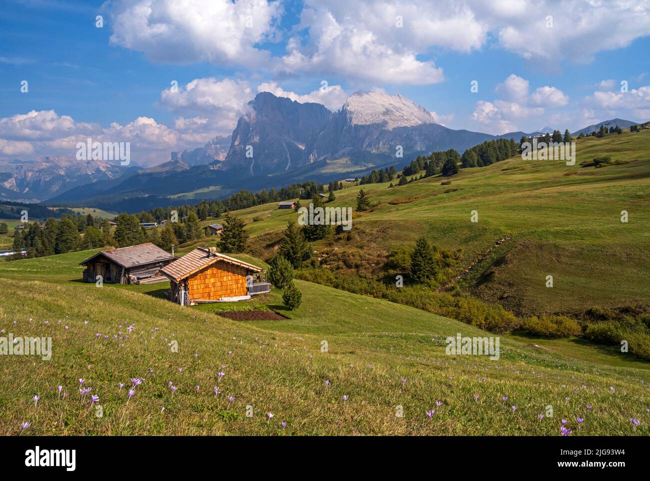 Sasso Lungo und Sasso Piatto, Seiser Alm, Südtirol, Italien, Frühherbst Stockfoto