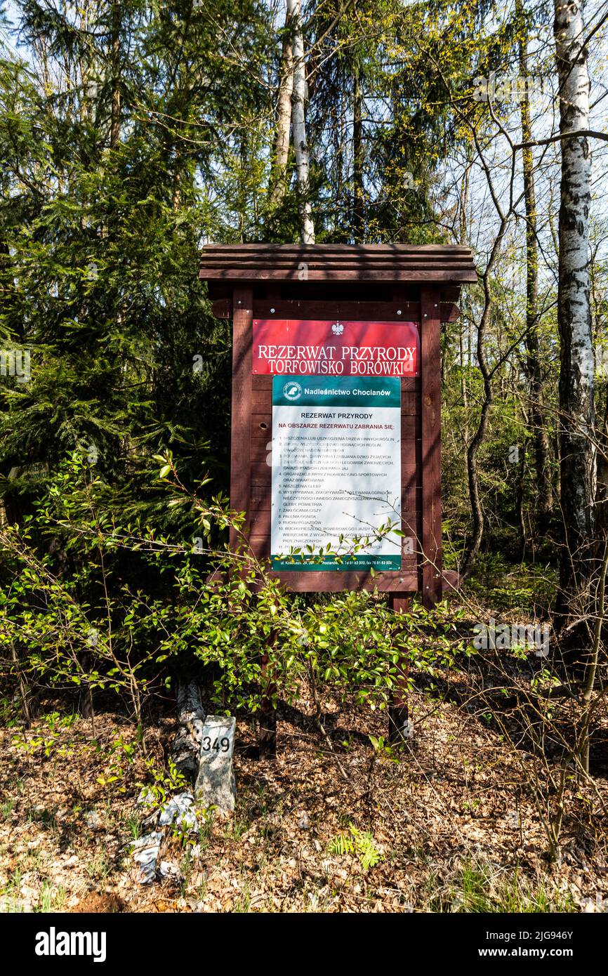 Europa, Polen, Niederschlesien, Przemkow Landschaftspark - Torfowisko Borowki Stockfoto