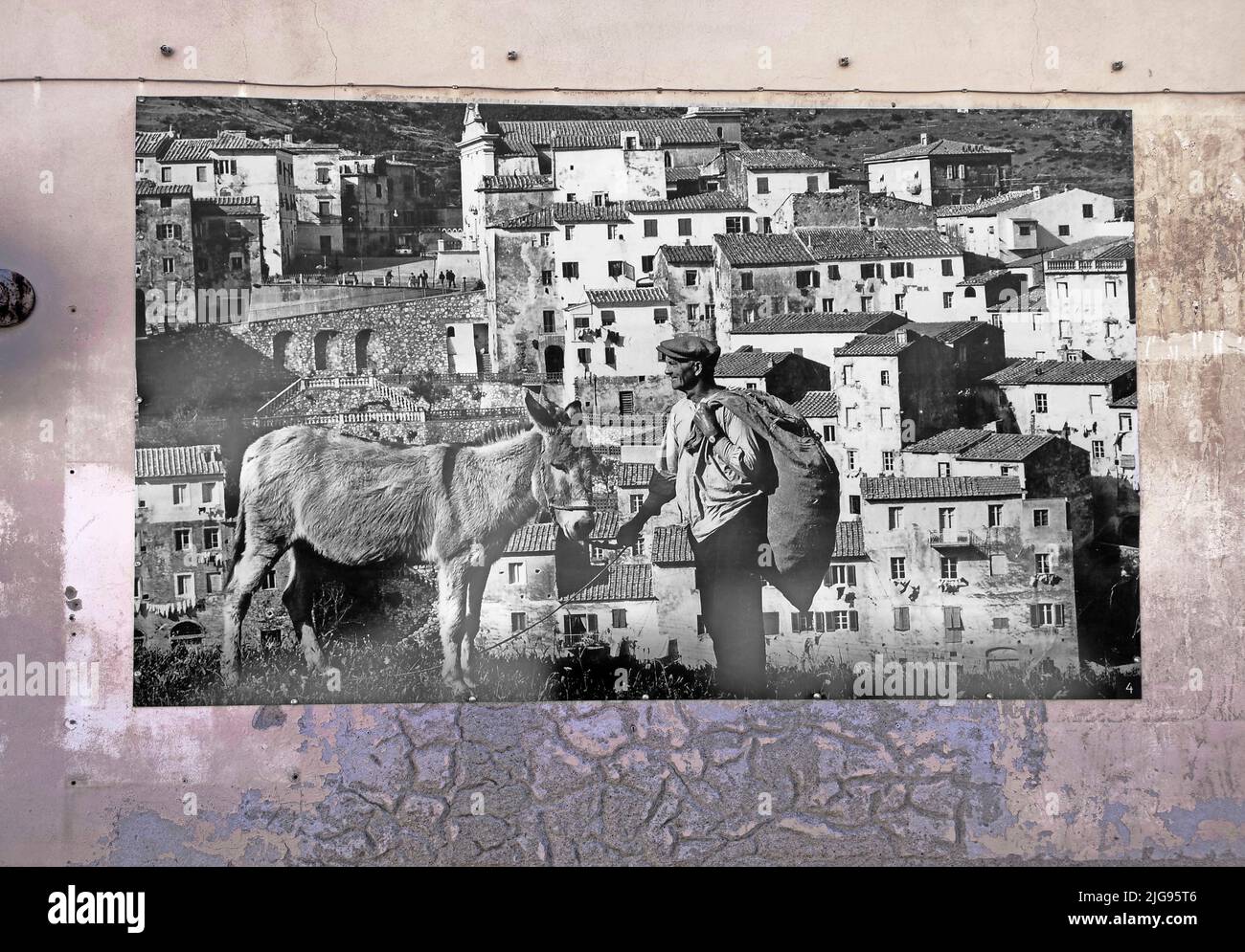 Historische Fotografie Bauer mit Esel vor dem Bergdorf Rio nell Elba Stockfoto