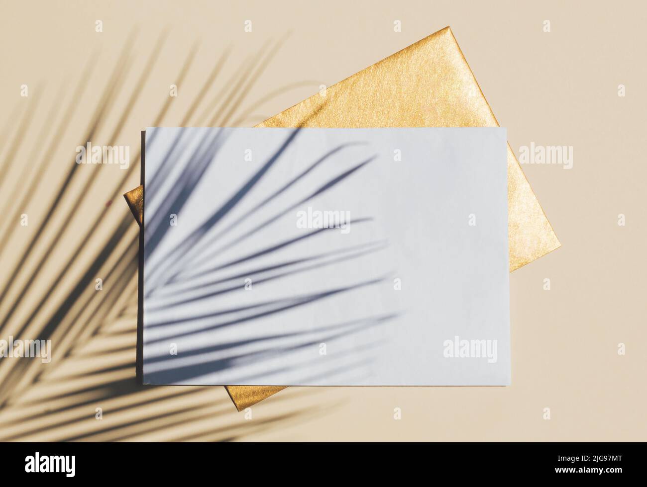 Draufsicht auf grünen tropischen Blattschatten und zwei Umschläge. Flach liegend. Minimales Sommerkonzept mit Palmenblatt. Kreativer Kopierbereich. Stockfoto