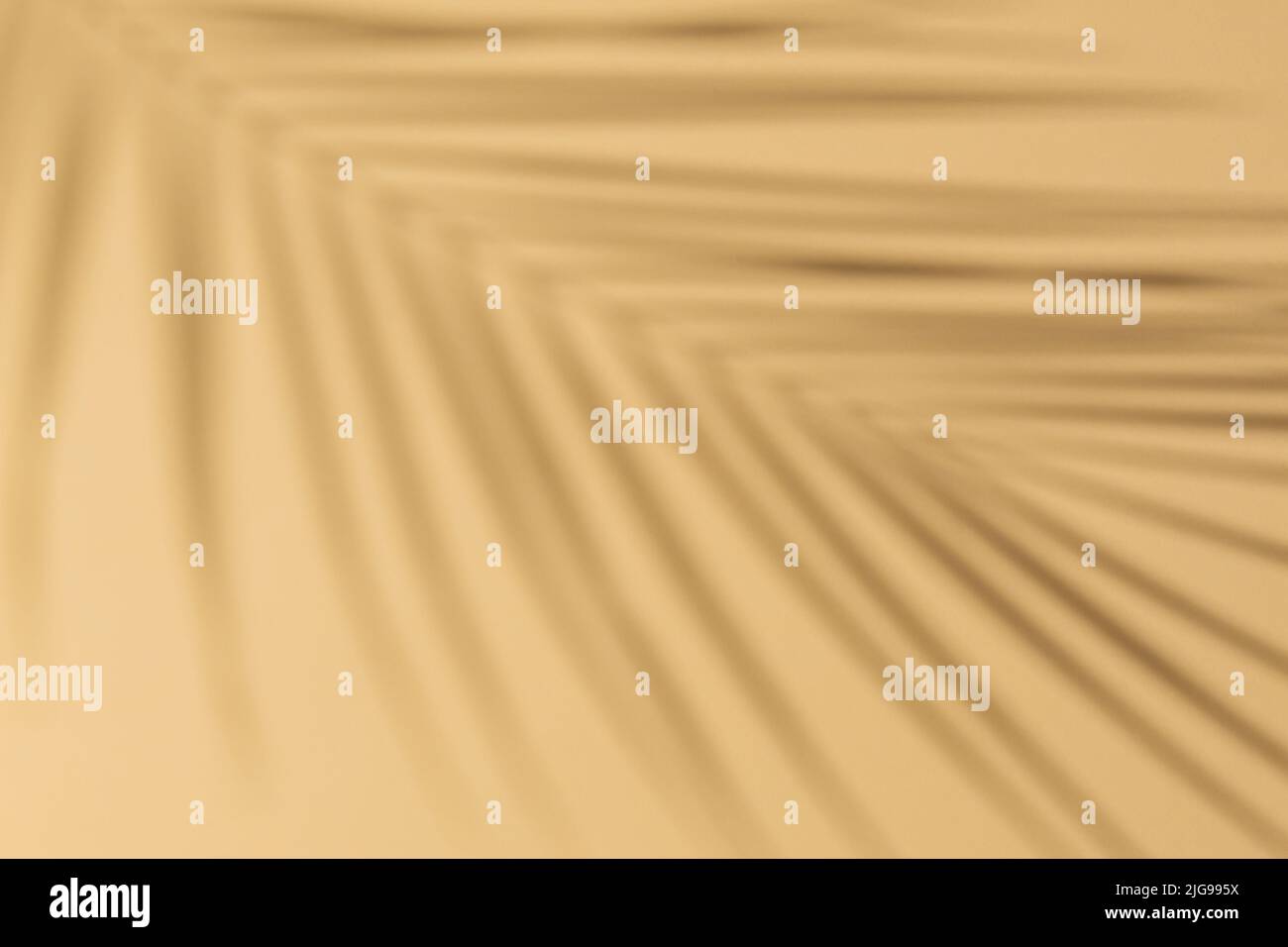 Draufsicht auf grünen tropischen Blattschatten auf sandfarbenem Hintergrund. Flach liegend. Minimales Sommerkonzept mit Palmenblatt. Stockfoto