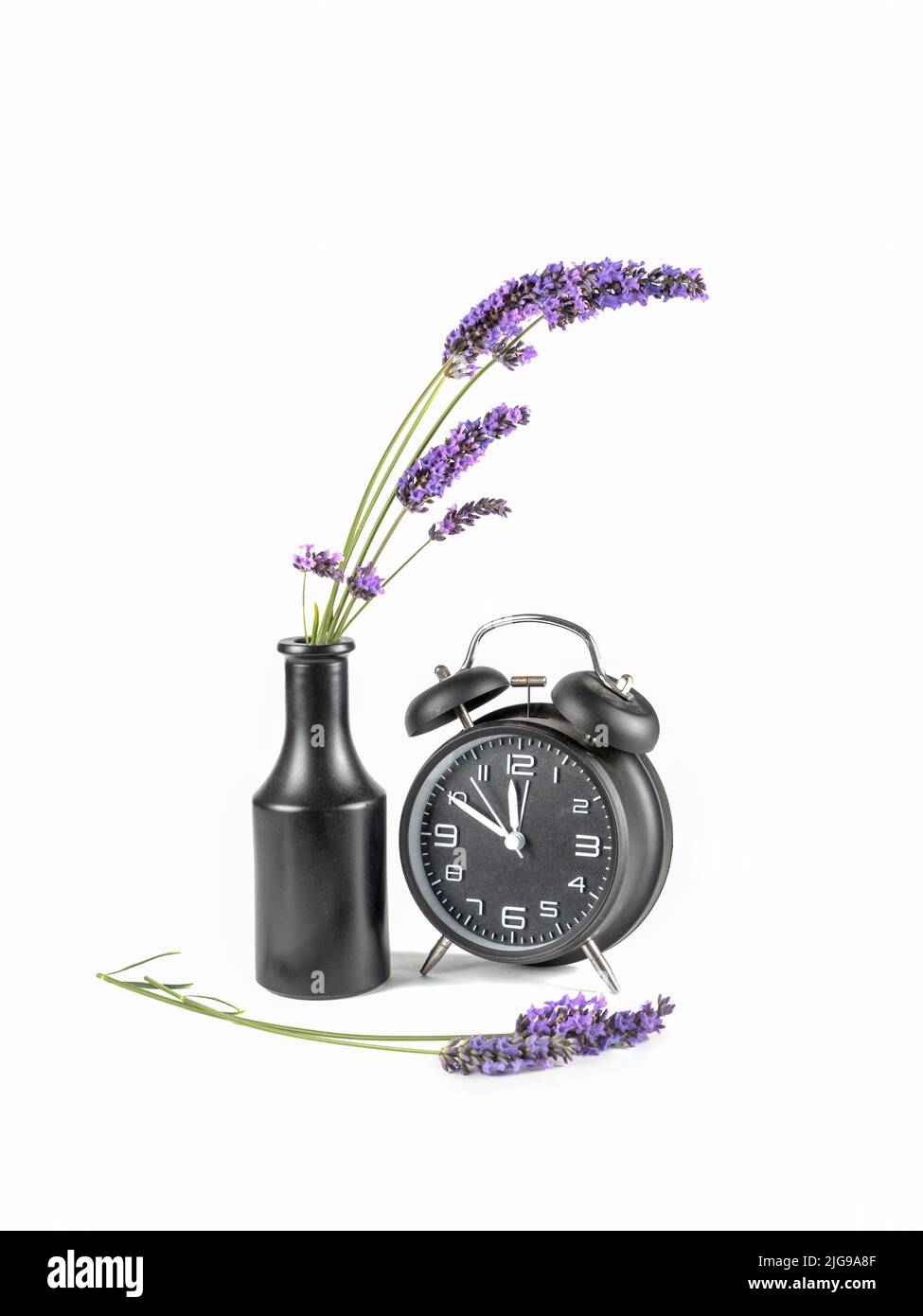 Lavendel in dunkler Vase mit altem Wecker. Zeitvergehen-Konzept. Stockfoto