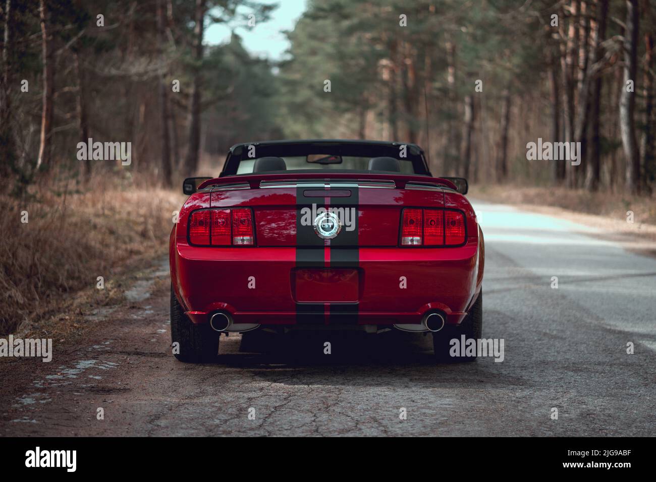 Ein Red Mustang GT Cabriolet in einem Forest Cabrio Stockfoto
