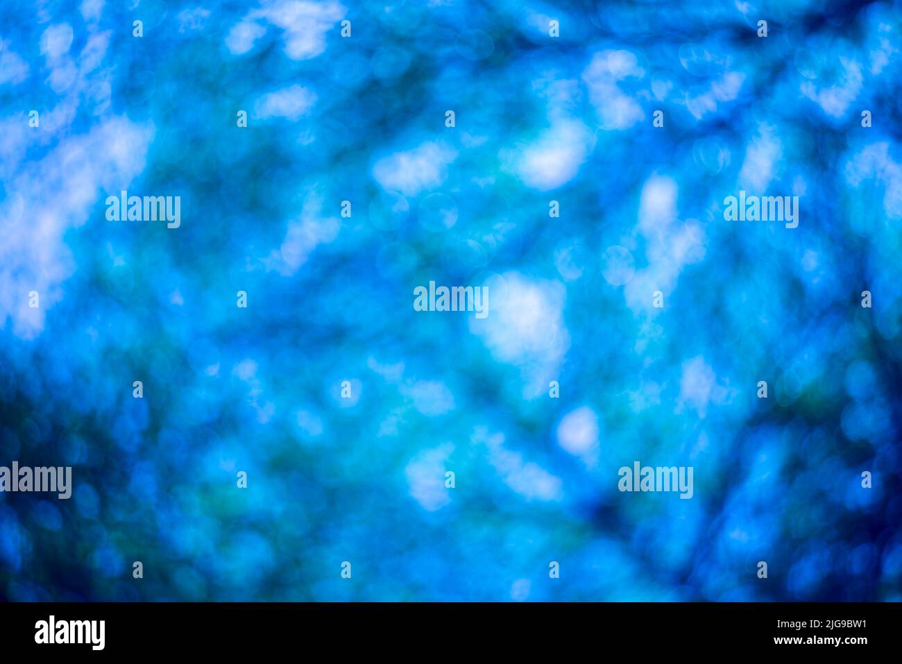 Abstrakte Landschaft von unfokussierten Wald, Foto nützlich als Hintergrund. Natürliches Bokeh, verschwommenes Bokeh. Stockfoto