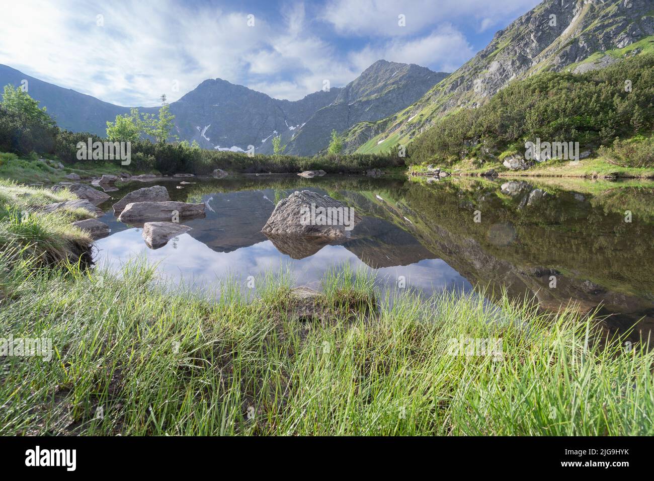 Alpengipfel spiegeln sich in kleinen noch tarn zusammen mit grünem Laub, Slowakei, Europa Stockfoto