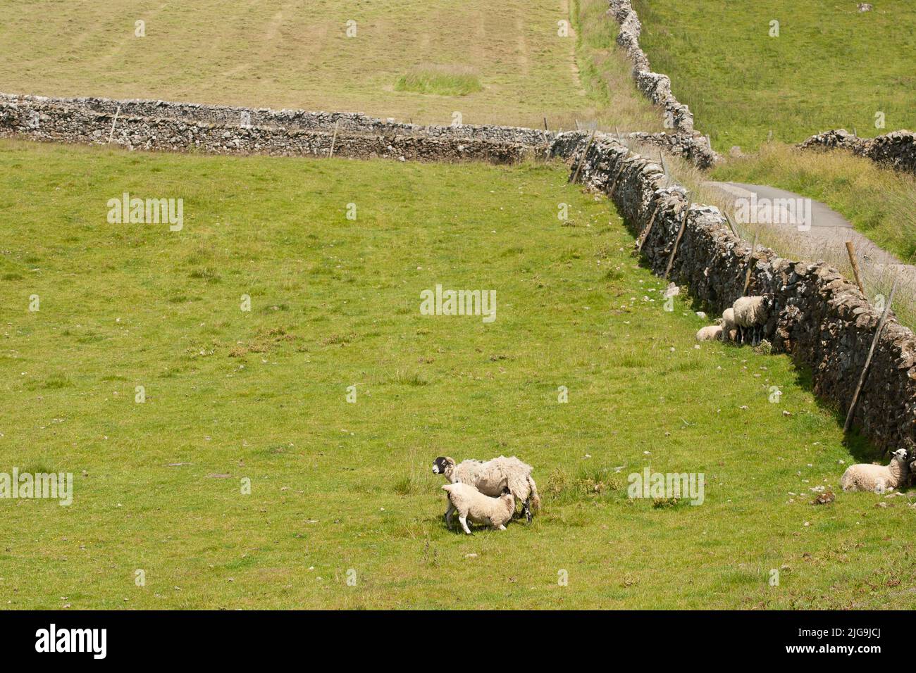 Kirkby Malham Craven Yorkshire Dales England Stockfoto