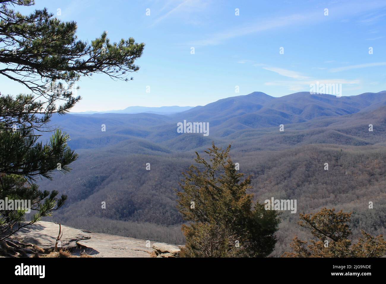 Blick vom Pisgah National Forest, Asheville, North Carolina, USA Stockfoto