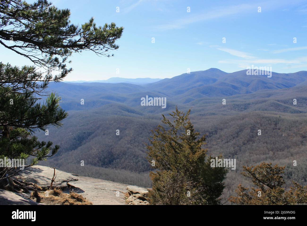 Blick vom Pisgah National Forest, Asheville, North Carolina, USA Stockfoto