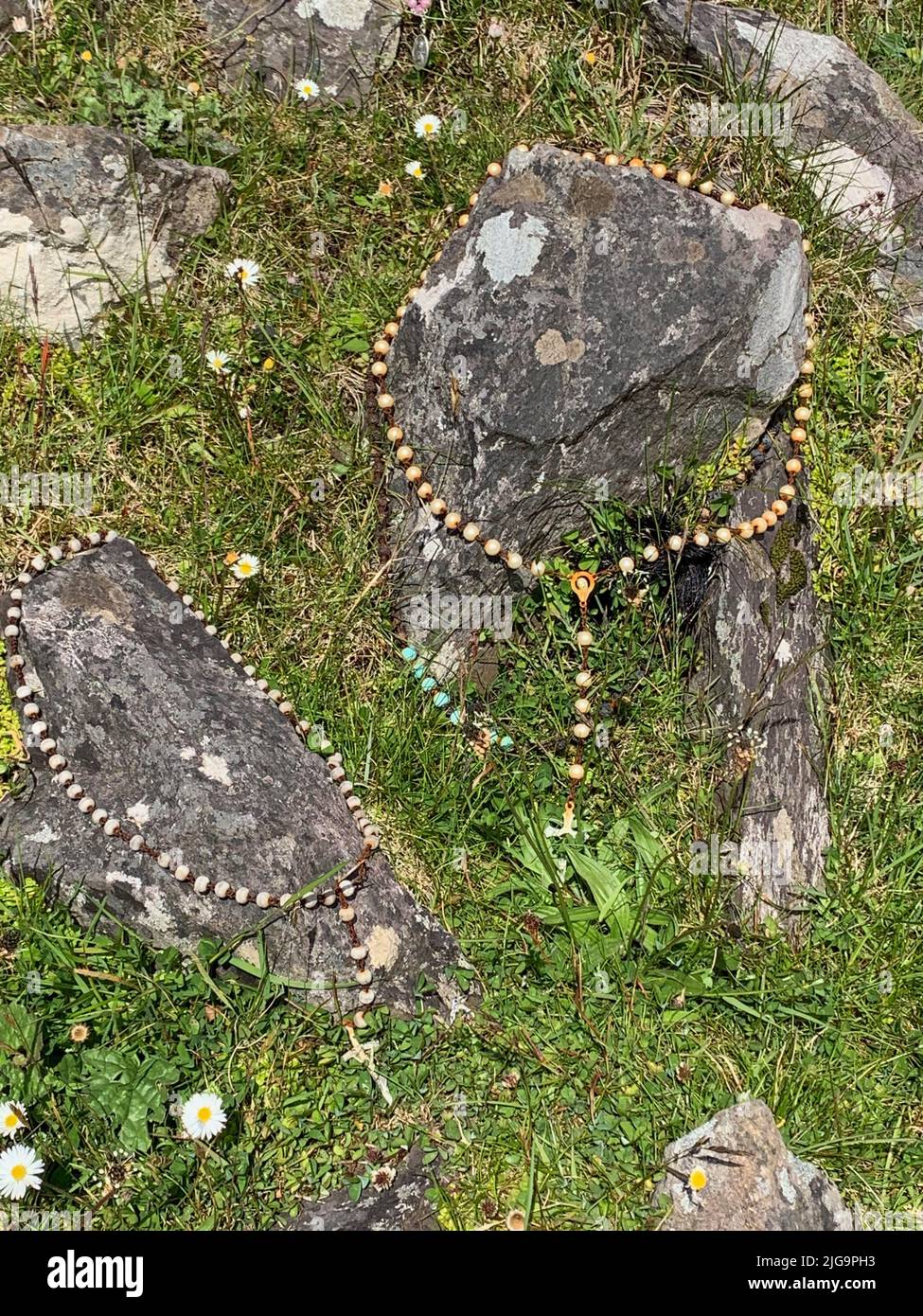 Rosenkranz in der Nähe von Coman Chiste, County Kerry, Irland Stockfoto
