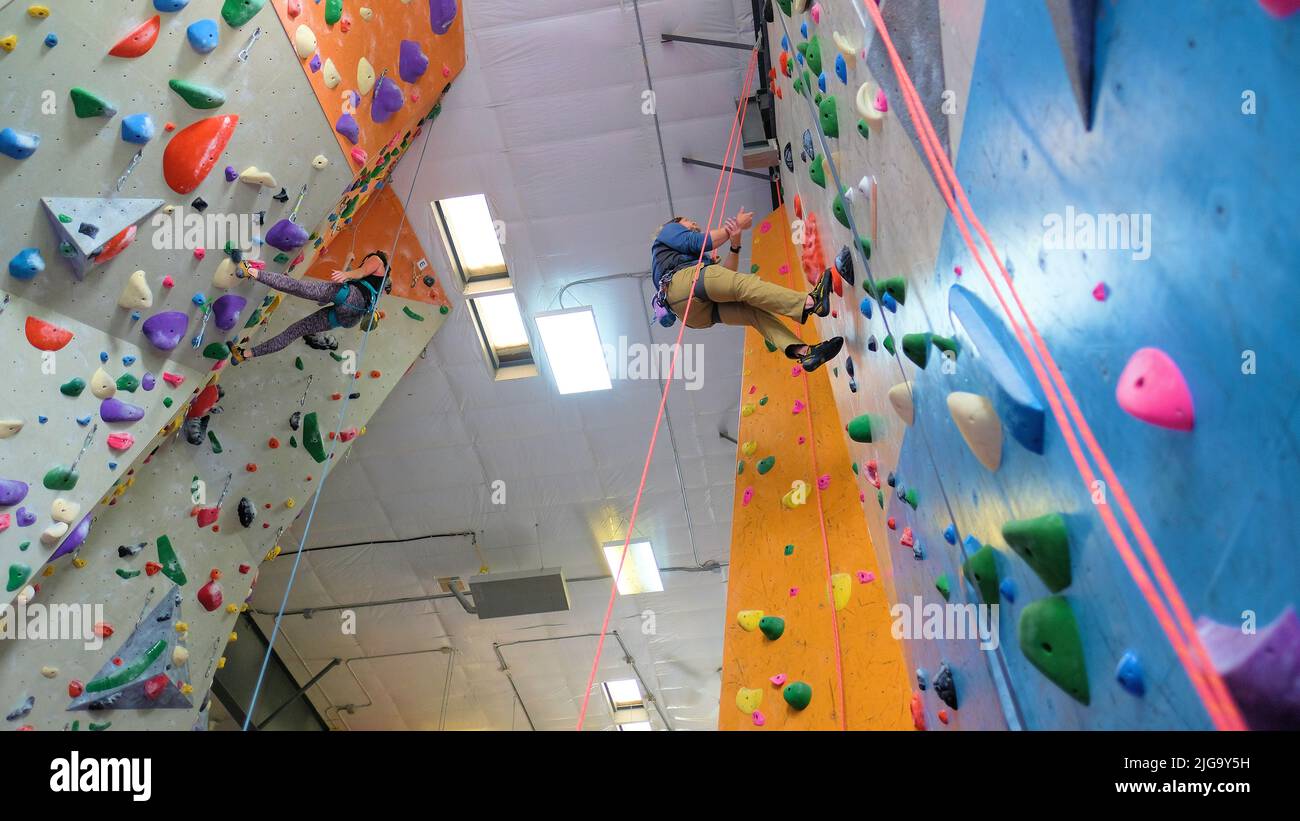 Ein junger Mann und eine junge Frau klettern auf einer Indoor-Kletterwand von unten gesehen; Seile und Klettergriffe zur Unterstützung beim Aufstieg. Stockfoto