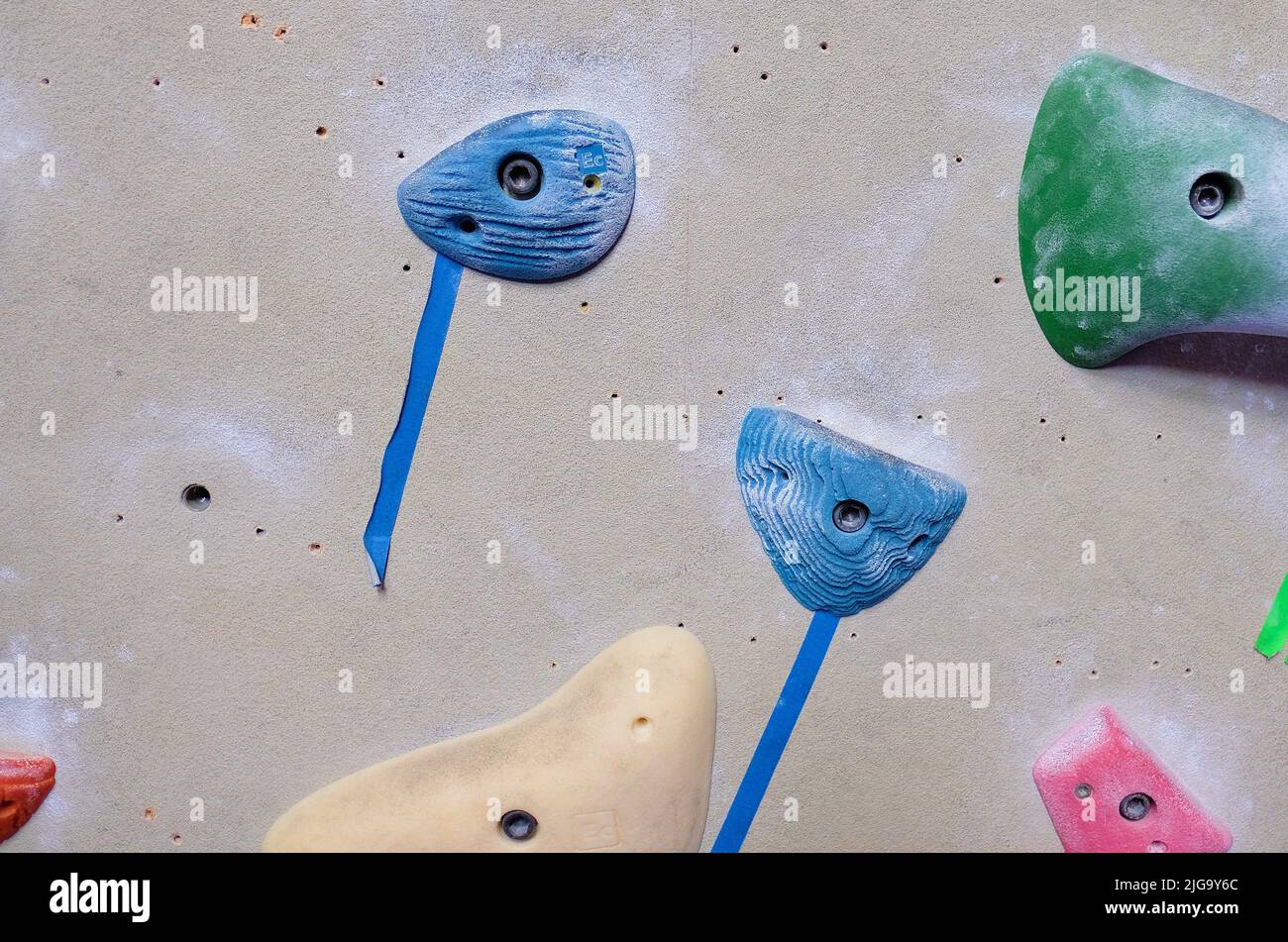 Blaue und grüne Klettergriffe an der Felswand für die Verwendung mit der Hand oder dem Fuß; Griffe mit Kreide für rutschfesten Halt beim Klettern; Nahaufnahme. Stockfoto