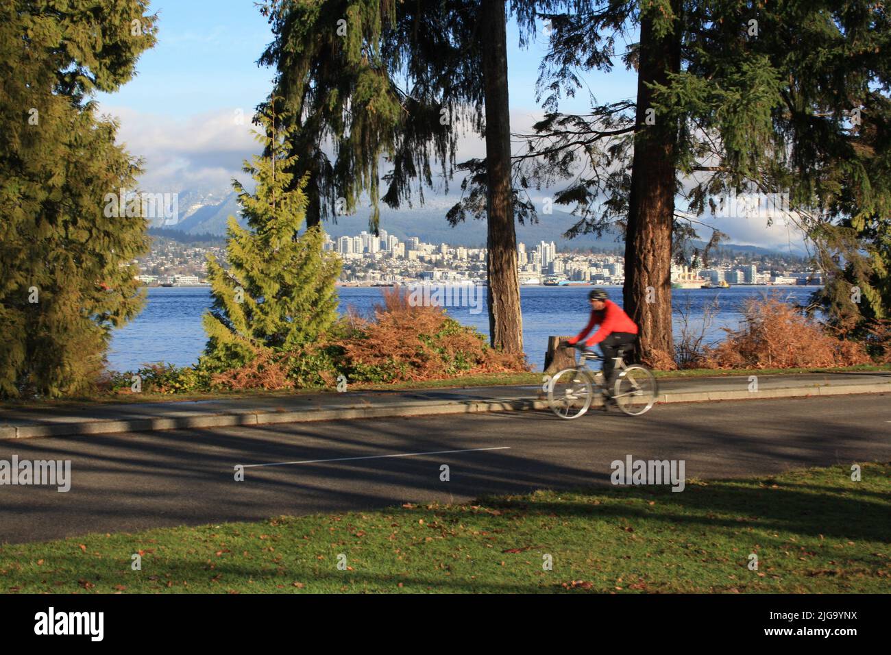 Ein Radfahrer, der im Stanley Park, Vancouver, British Columbia, Kanada, entlang der Ufermauer fährt Stockfoto