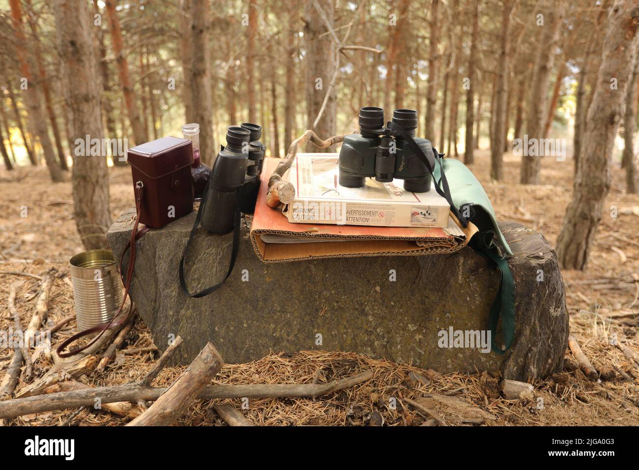 Spiel für Kinder. Magische Ausrüstung im Wald in den Bergen. Binokular, Bücher, Karten Stockfoto
