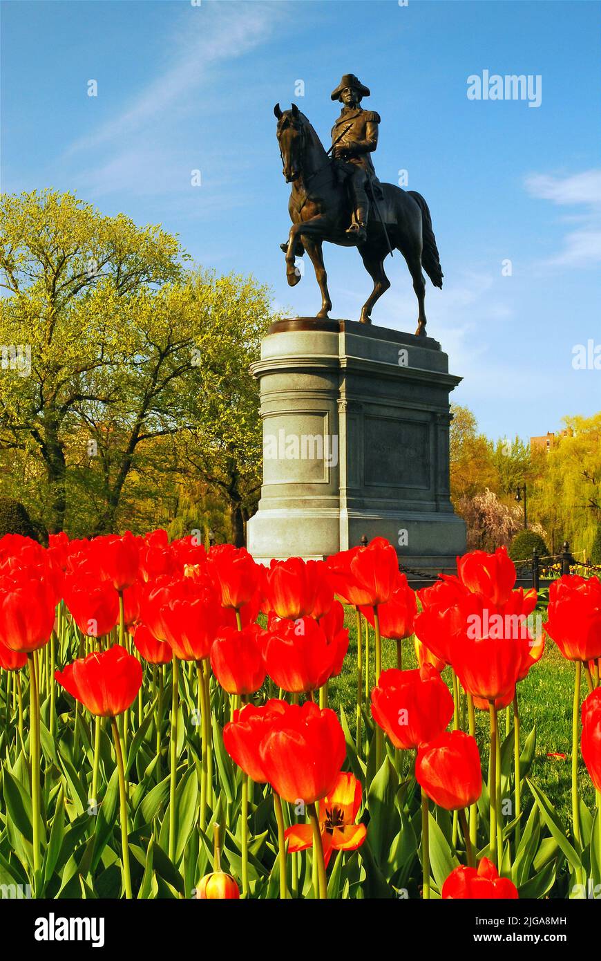 Eine Skulptur von General George Washington, der auf einem Pferd reitet, wird an einem Frühlingstag im Boston Publik Garden bei Boston Common von Tulpen umgeben Stockfoto