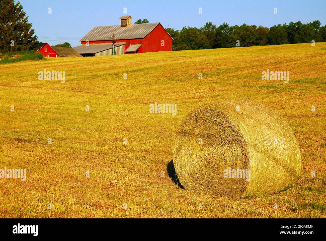 Eine große Rolle Heu sitzt auf einer Wiese in der Nähe einer roten Scheune und Farm House auf Land Landwirtschaft Land im Hudson Valley Stockfoto