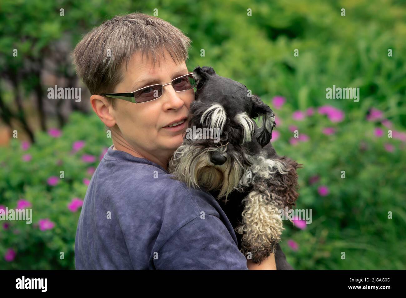 Frau mit Miniatur-Schnauzer-Hund Stockfoto