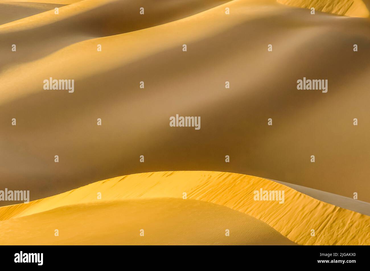 Nahaufnahme der Sanddünen in der Hatta Wüste Stockfoto