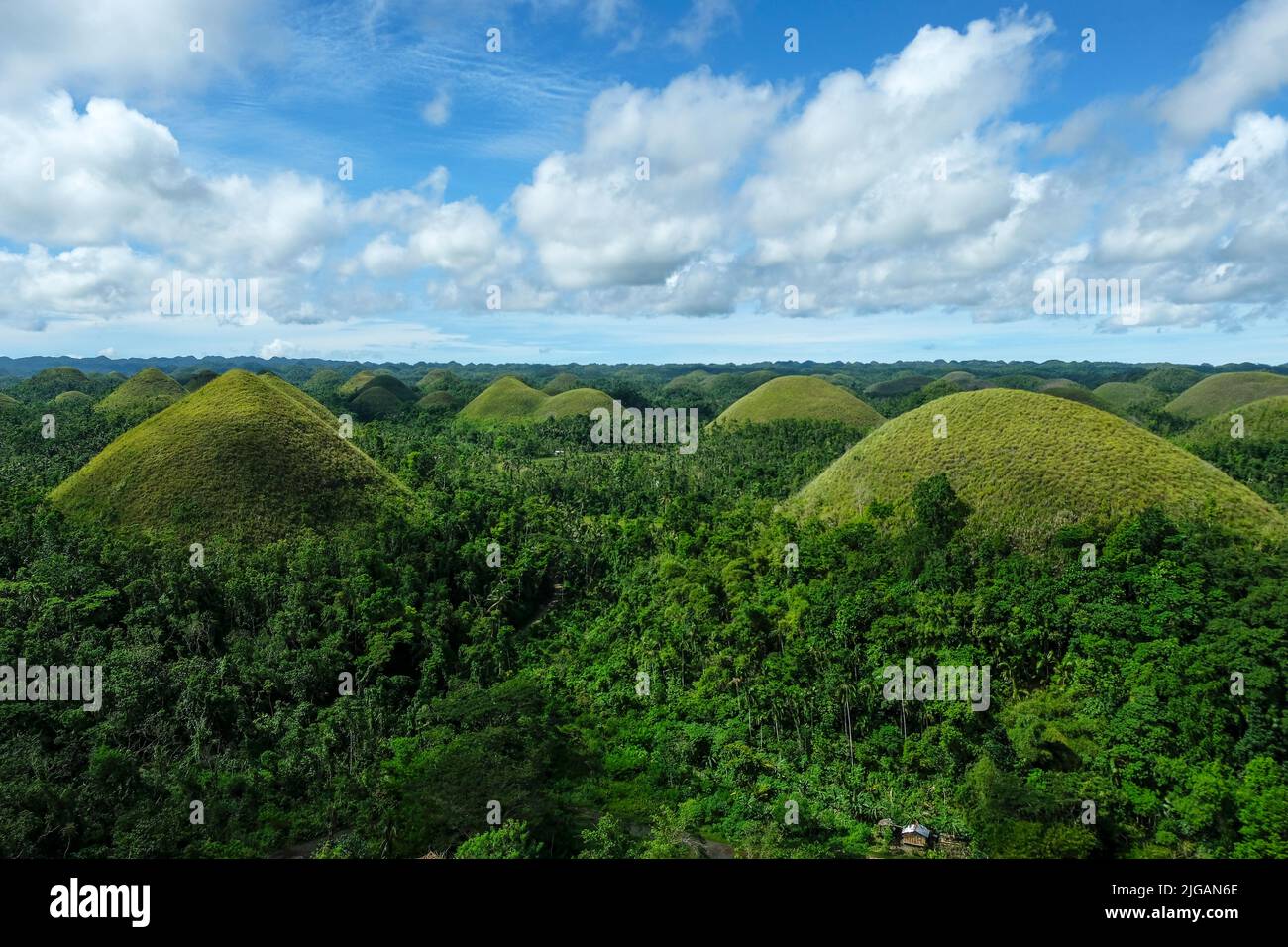 Die Chocolate Hills sind eine geologische Formation auf Bohol Island, Philippinen. Stockfoto