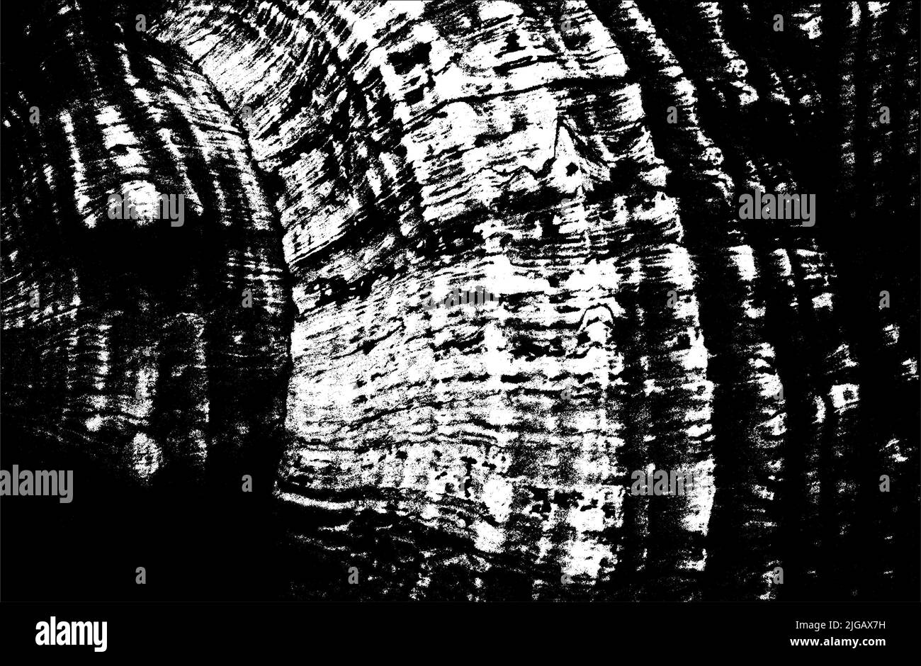 Meeresfauna auf einem isolierten schwarzen Hintergrund. Meeresmollusken. Schalen. Vektorgrafik. EPS8. Stock Vektor