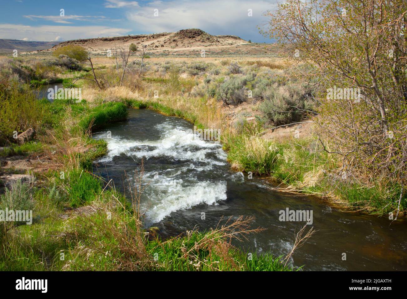 East Canal, Malheur National Wildlife Refuge, Oregon Stockfoto