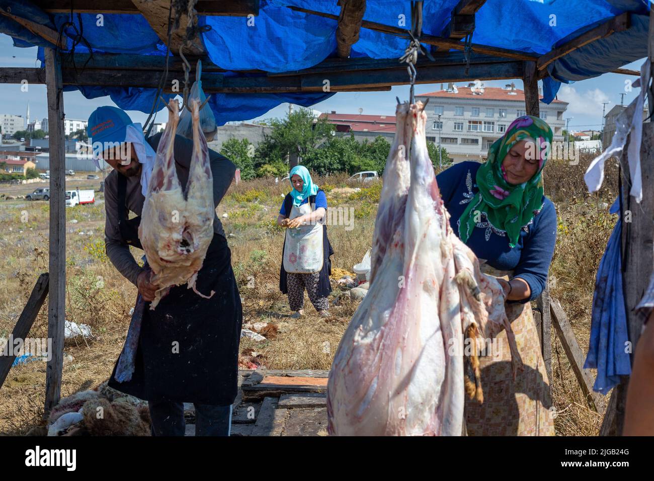 9. Juli 2022: Am Morgen des ersten Tages von Eid al-Adha opfern Muslime die Qurbane, die sie am 9. Juli 2022 auf dem Tiermarkt in Istanbul, Türkei, wählen. Eid al Adha, das Opferfest, wird in der ganzen muslimischen Welt als Gedenken an die Bereitschaft Abrahams gefeiert, seinen Sohn für Gott zu opfern. Kühe, Kamele, Ziegen und Schafe werden traditionell am heiligsten Tag geschlachtet. (Bild: © Tolga Ildun/ZUMA Press Wire) Stockfoto