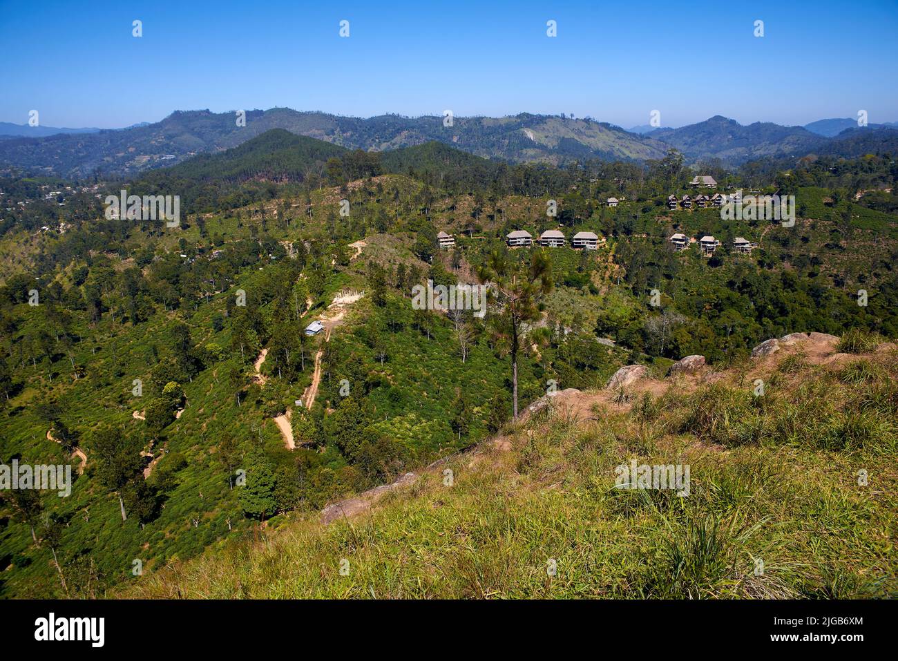 Blick auf Häuser in Teeplantagen in Sri Lanka Stockfoto