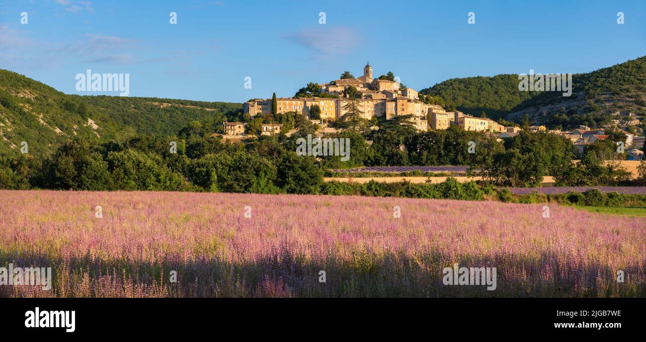 Das Dorf Banon in der Provence mit Salbeifeldern bei Sonnenaufgang im Sommer. Bergdörfer in Alpes-de-Haute-Provence, Französische Alpen, Frankreich Stockfoto