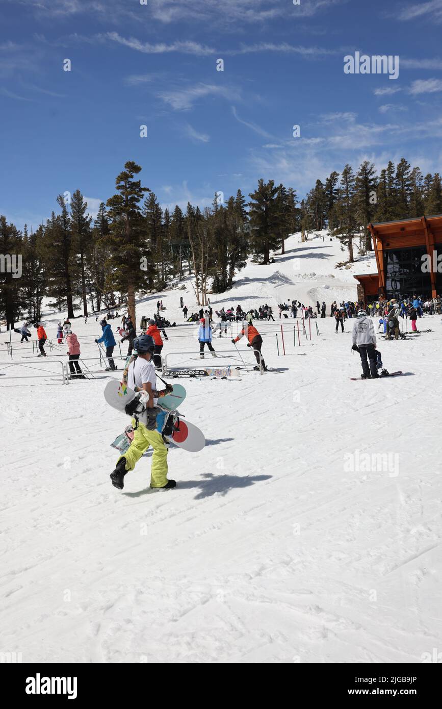 Eine vertikale Aufnahme von Menschen, die im Heavenly Resort Skifahren Stockfoto