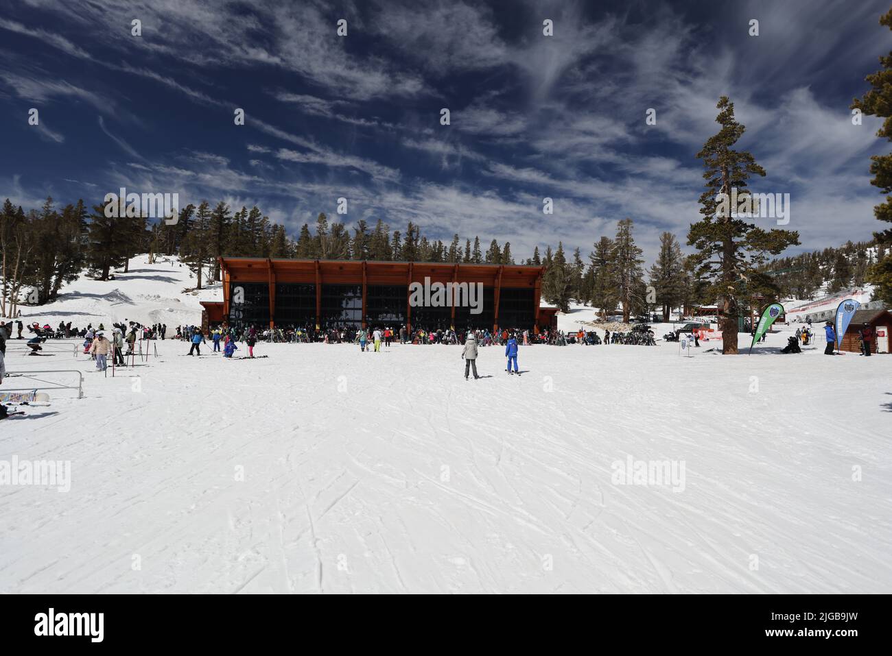 Ein Blick auf die Menschen, die im Heavenly Resort Skifahren, umgeben von wachsenden Pinien Stockfoto
