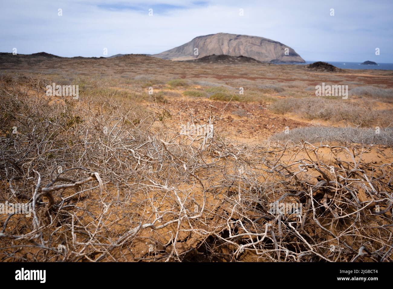 Trockenes Gras in heißer Wüste auf la graciosa Stockfoto