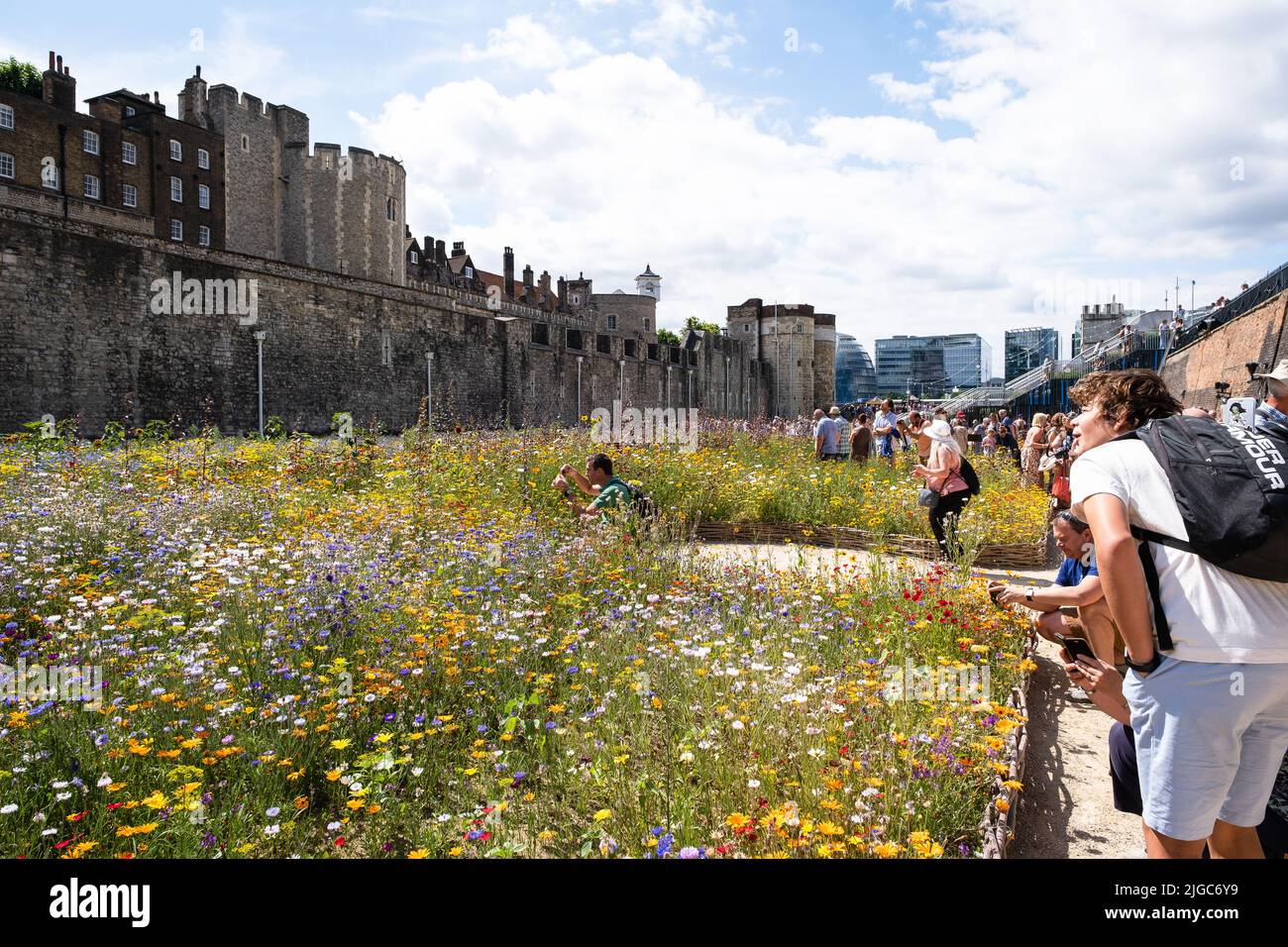 London, Großbritannien. 9.. Juli 2022. Tower of London Superbloom für