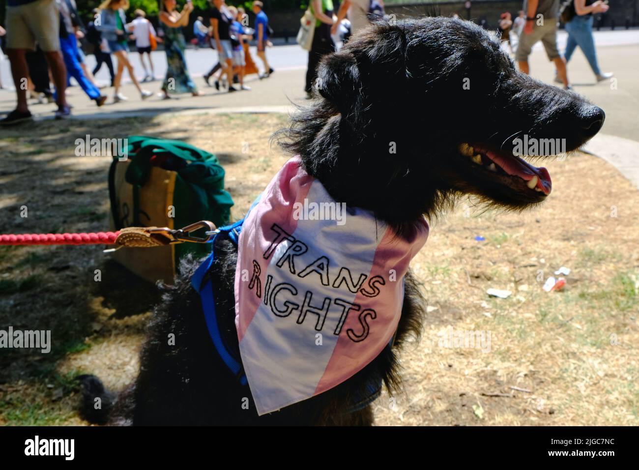 London, Großbritannien, 9.. Juli 2022. Tausende von Trans-Rights-Aktivisten und ihre Verbündeten marschierten von Wellington Arch zum Soho Square in einer Widerstandsveranstaltung gegen Transphobie und forderten das Verbot der Konversionstherapie für Homosexuelle. Jetzt im vierten Jahr wurde der marsch als Reaktion auf eine Anti-Trans-Gruppe gegründet, die 2018 die Parade der Pride in London stürmt. Kredit: Elfte Stunde Fotografie/Alamy Live Nachrichten Stockfoto