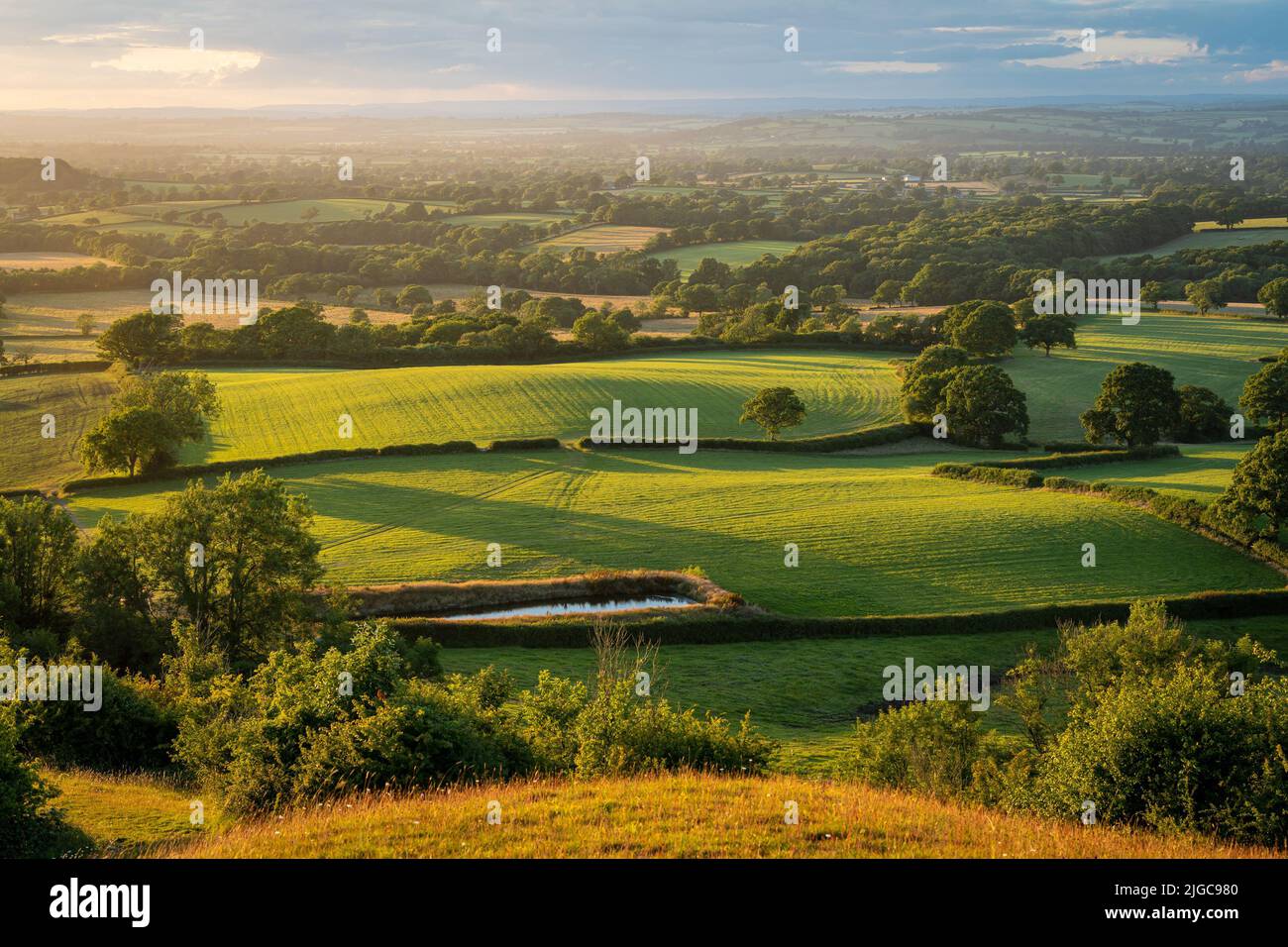 Ein wunderschöner Sonnenuntergang über der Landschaft von Hilfield, Grafschaft Dorset, England Stockfoto