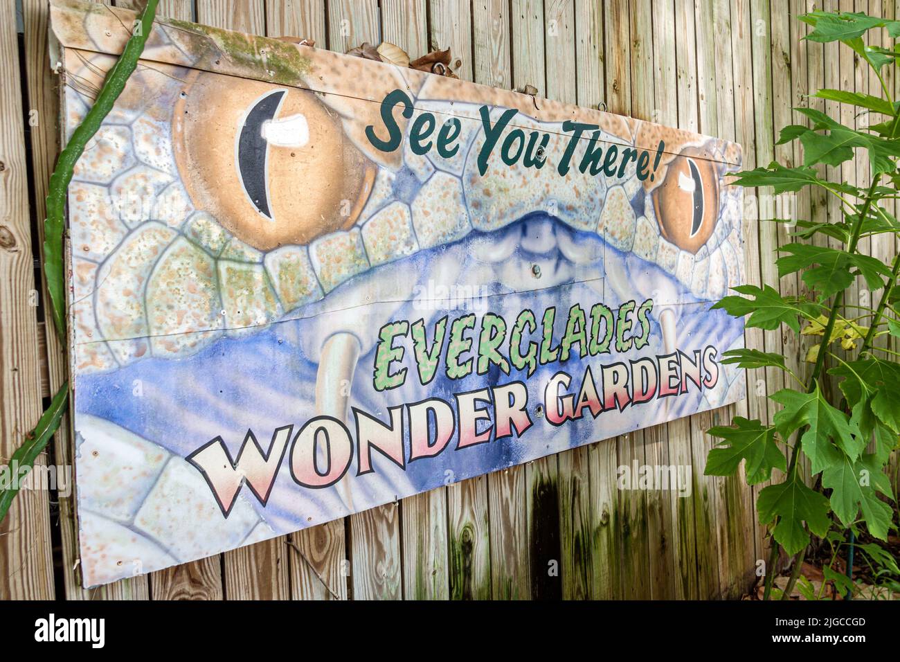 Bonita Springs Florida, Everglades Wonder Gardens, botanischer Garten Refugium verletzte Wildtiere Ausstellungen Touristenattraktion Zeichen Kunst Kunstwerk Stockfoto