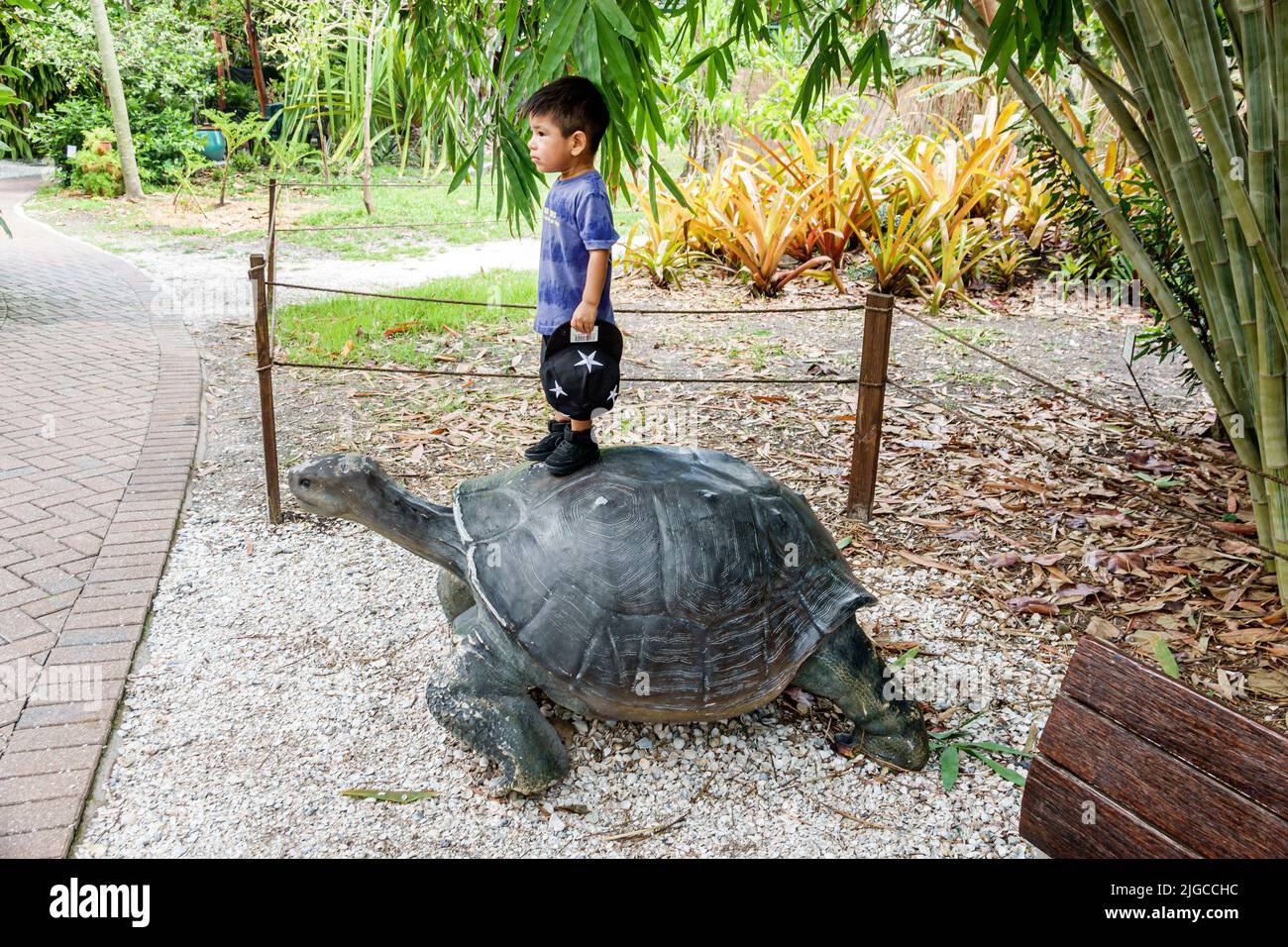 Bonita Springs Florida, Everglades Wonder Gardens, botanischer Garten Refugium verletzte Wildtiere Ausstellungen Touristenattraktion, riesige Schildkröte Statue Skulptur Stockfoto