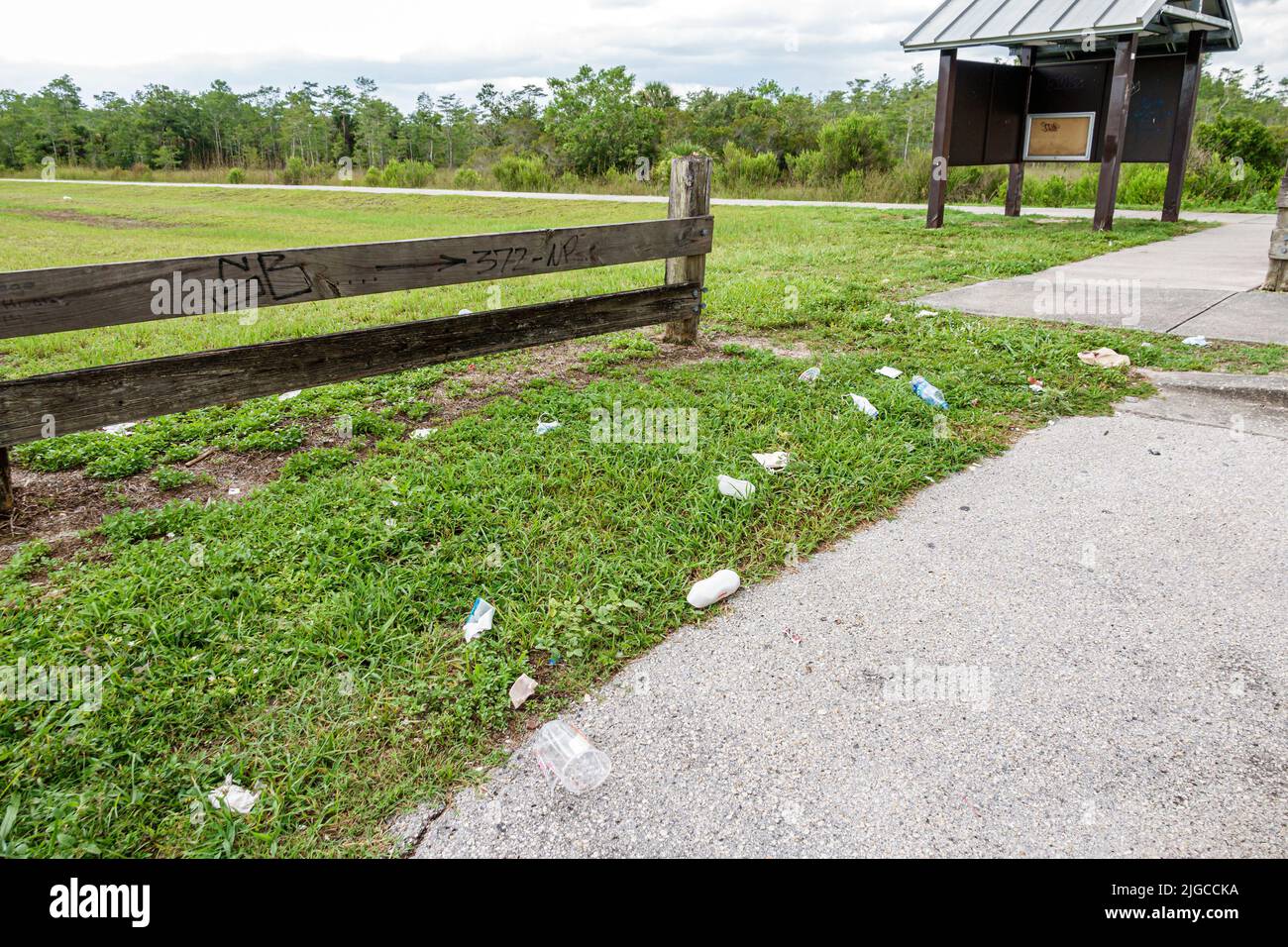 Naples Florida Everglades, Alligator Alley Trail Head Big Cypress Wildlife Management WMA-Bereich, Müll Abfall Verschmutzung Boden Stockfoto
