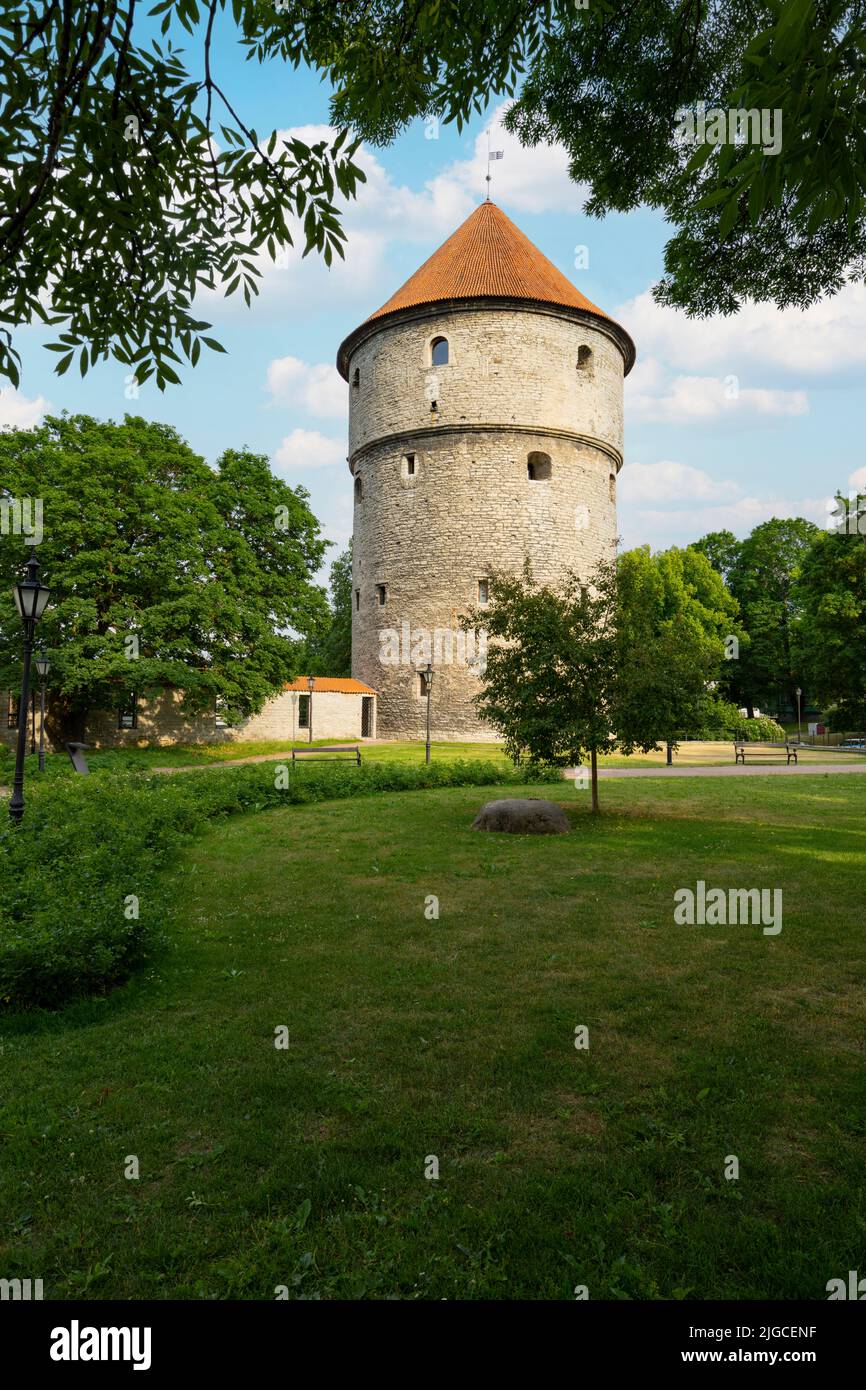 Tallinn, Estland. Juli 2022. Panoramablick auf das Kiek in de Kök Museum und die Bastentunnel im Stadtzentrum Stockfoto