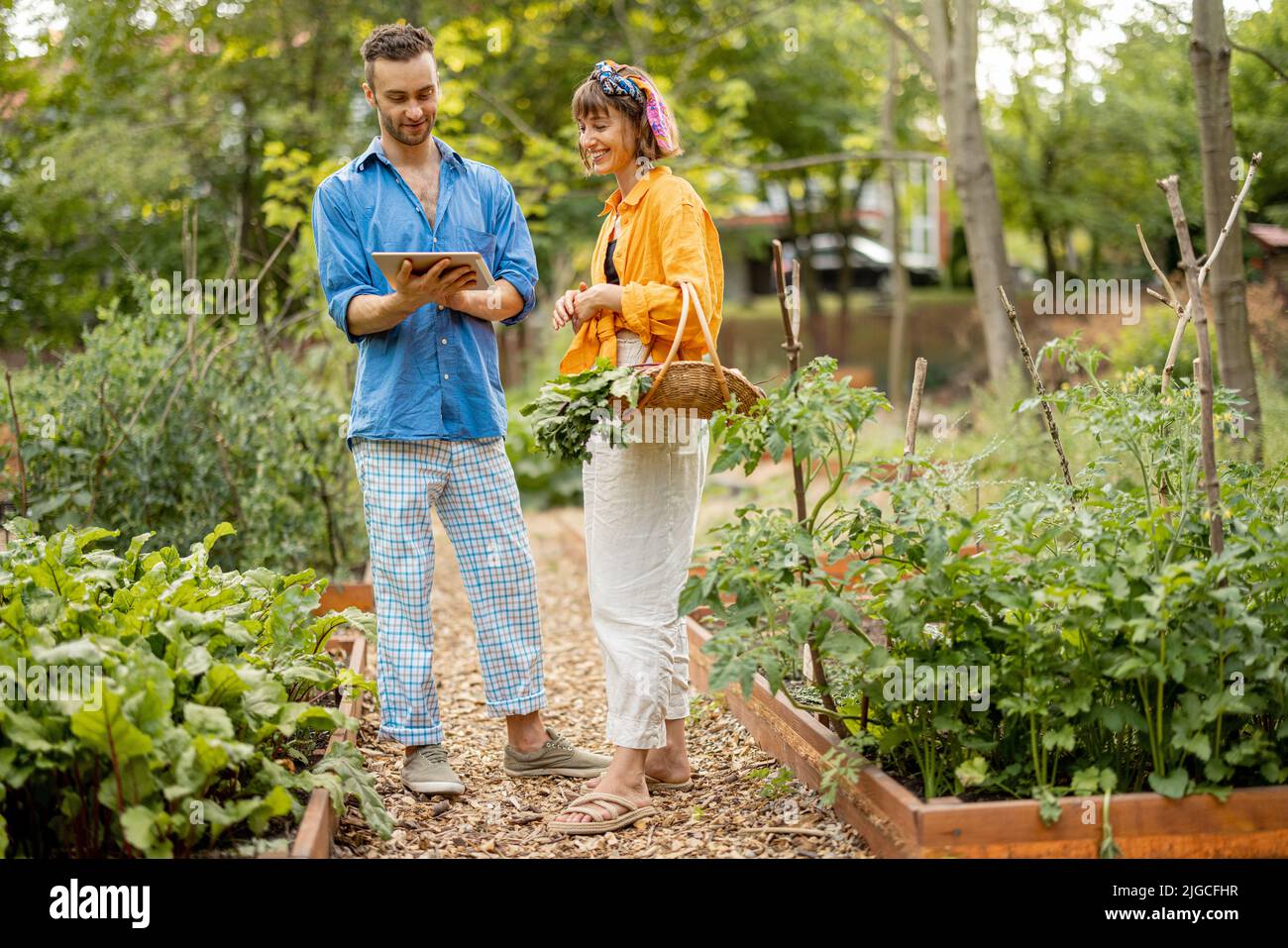 Ein Paar mit einem digitalen Tablet arbeitet im Gemüsegarten Stockfoto