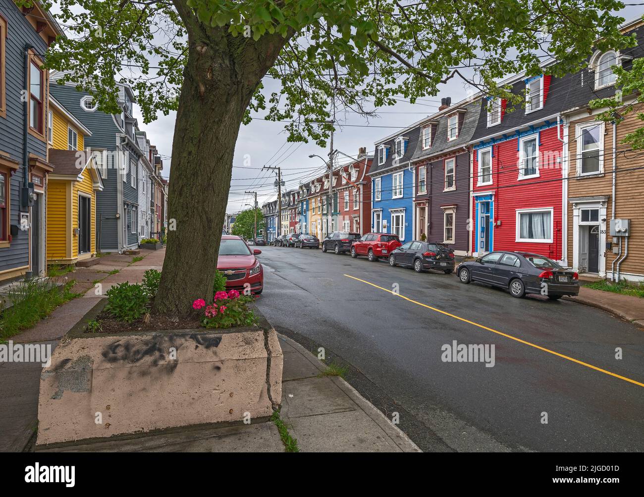 St. John’s, Neufundland und Labrador, Kanada – 21. Juni 2022: Eine Straßenlandschaft mit bunten Reihenhäusern, die gemeinhin als Jelly Bean Houses bezeichnet werden Stockfoto