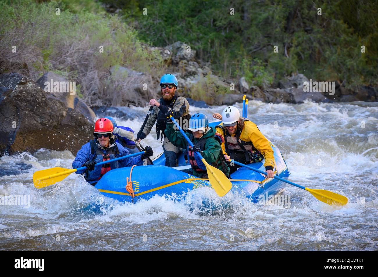 Rafting auf dem Bruneau River in Idaho mit Far & Away Adventures. Führen Sie Walker Royston. Stockfoto