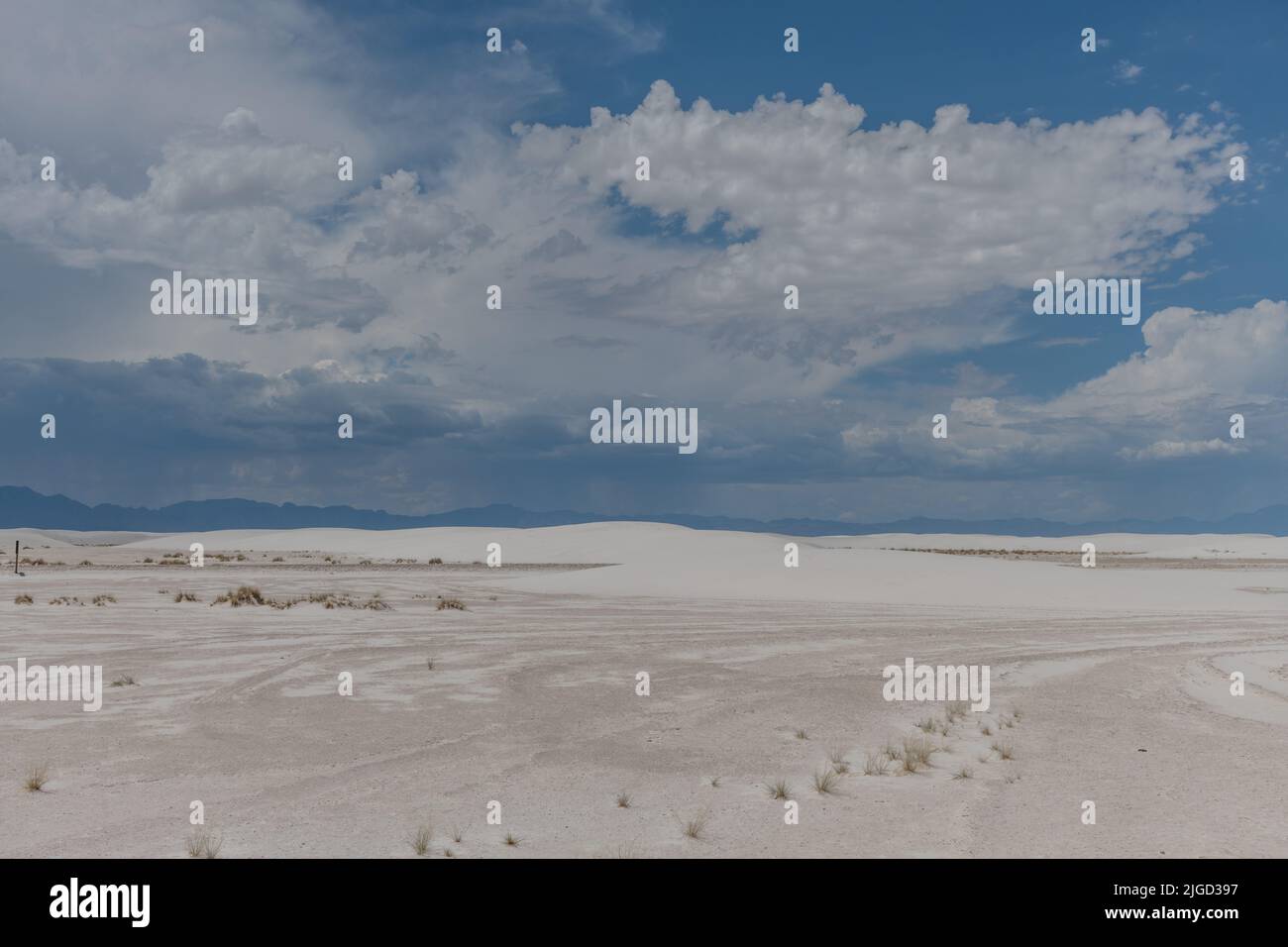 Wunderschöner blick auf die Gipsdüne im White Sands National Park, der während der Monsunsaison im Süden von New Mexico vor dramatischem Himmel liegt Stockfoto