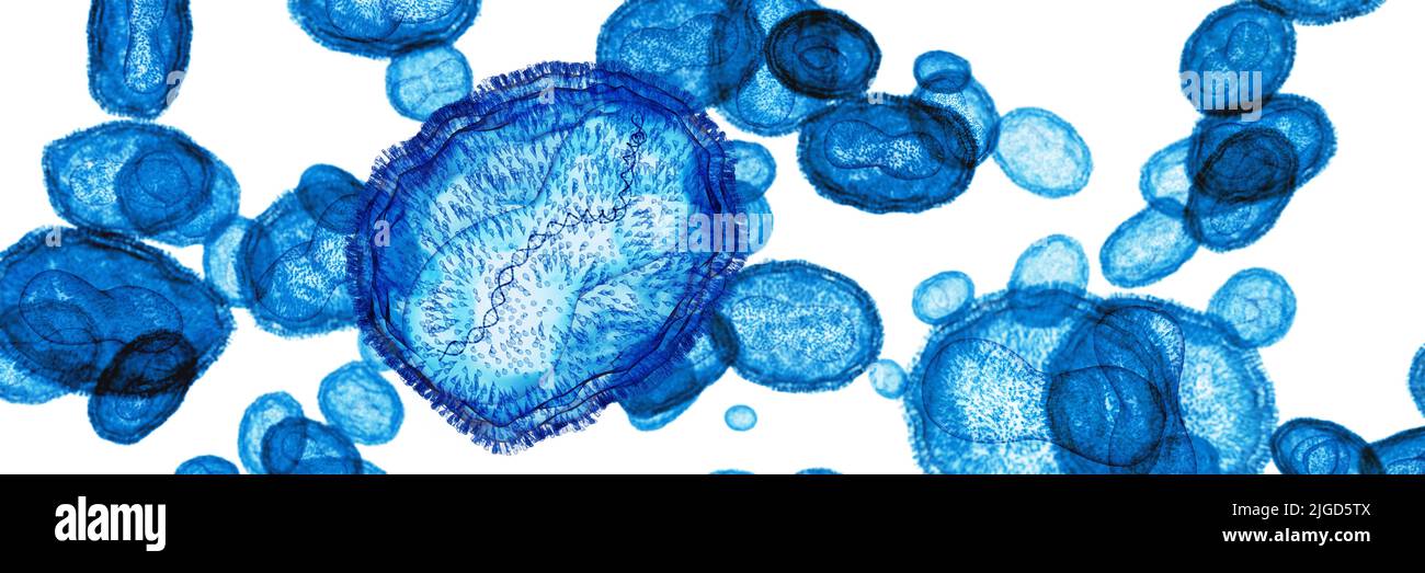 Monkeypox-Virus, Illustration Stockfoto