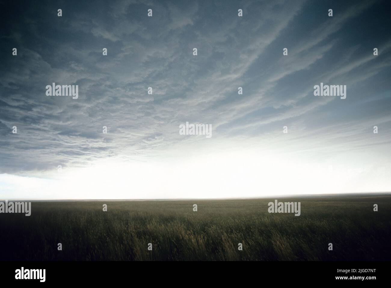 Sturmwolken auf den östlichen Ebenen von Montana, USA Stockfoto