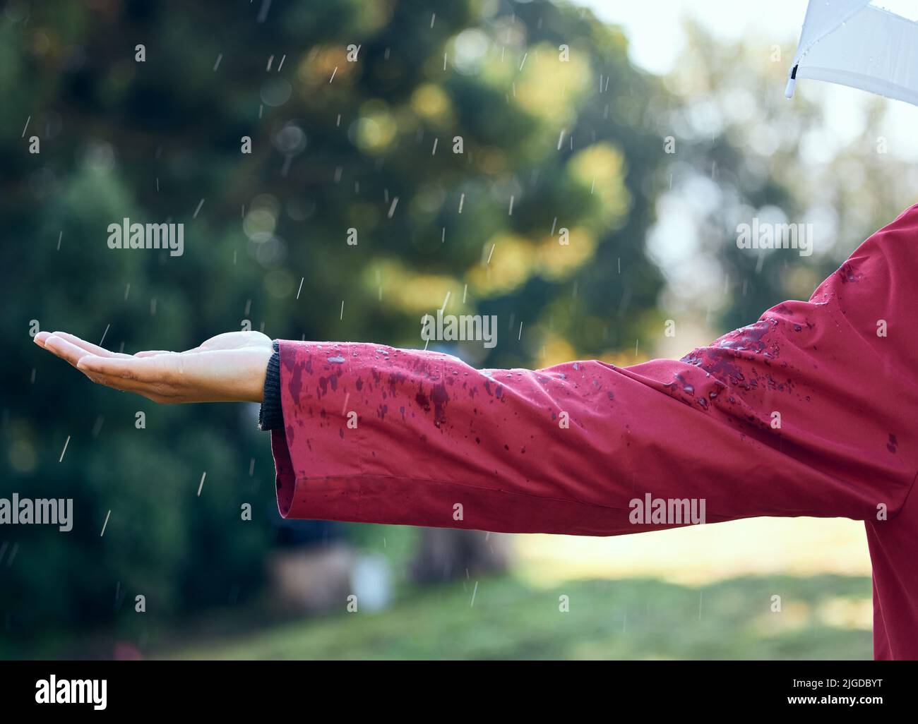 Im draußen im Regen. Eine Frau streut ihre Hand aus, um den Regen draußen zu spüren. Stockfoto