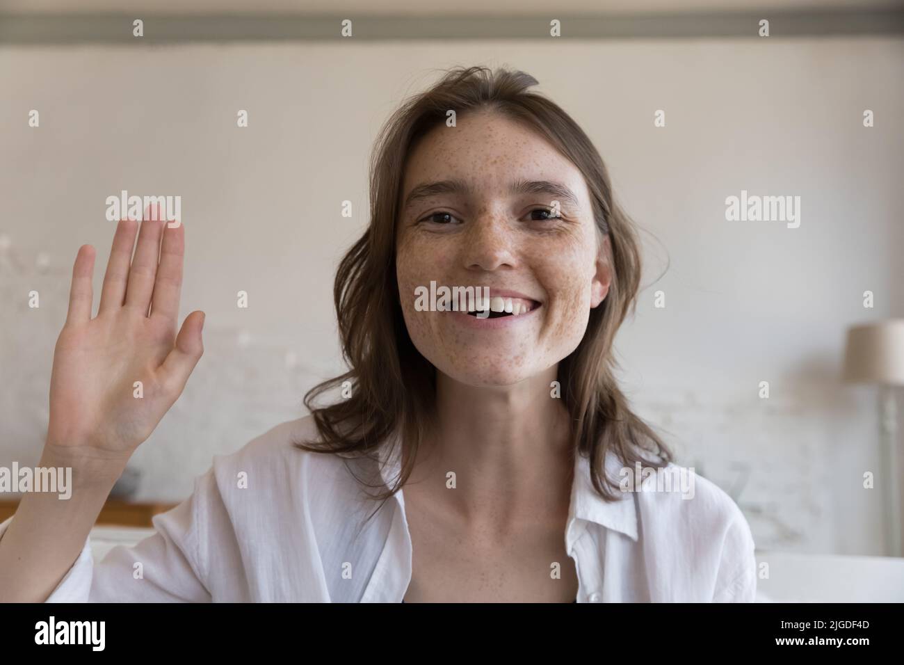 Headshot Porträt junge Sommersprossen Frau machen Videoanruf zu Hause Stockfoto