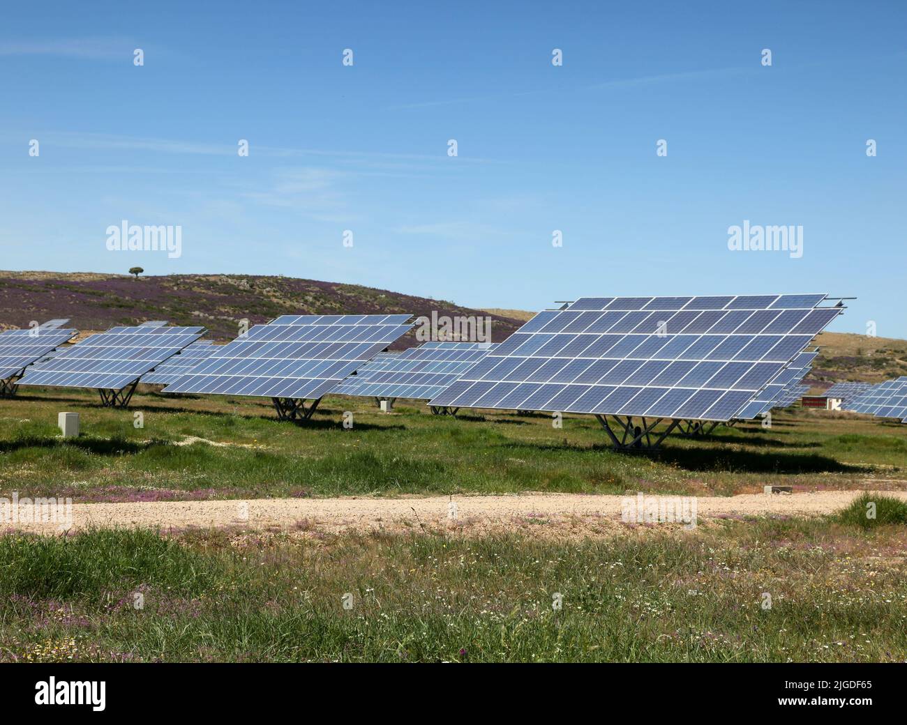 Großer Solarpark in Spanien. Solarenergie wird zu einem wichtigen Teil des Energiemixes. Stockfoto