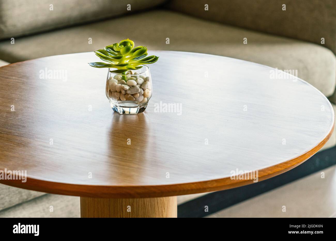 Kleiner runder Glastopf und Pflanze auf dem runden Schreibtisch aus Holz mit verschwommenem Hintergrund des Komfortsofas, minimalistischer Stil. Stockfoto