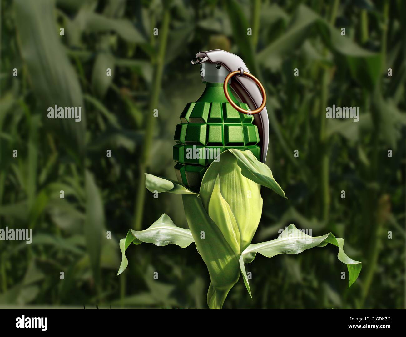 Krieg und Landwirtschaft als die Auswirkungen auf die Landwirtschaft und die Nahrungsmittelproduktion durch militärische Kämpfe und Bombardierungen von Nutzpflanzen und Ackerland oder Landwirtschaft. Stockfoto