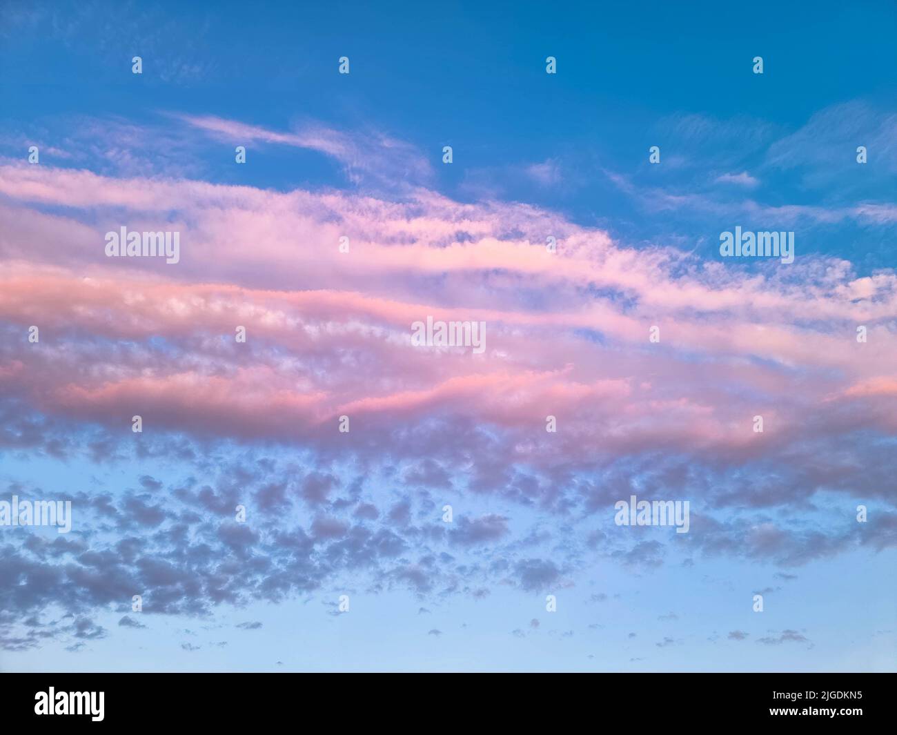 Spektakulärer blauer und violetter Himmel mit Cumulus-Wolken. Abendliche Fotografie. Vollformat, Heaven-Konzept. Luftfreiheit in der Atmosphäre. Stockfoto