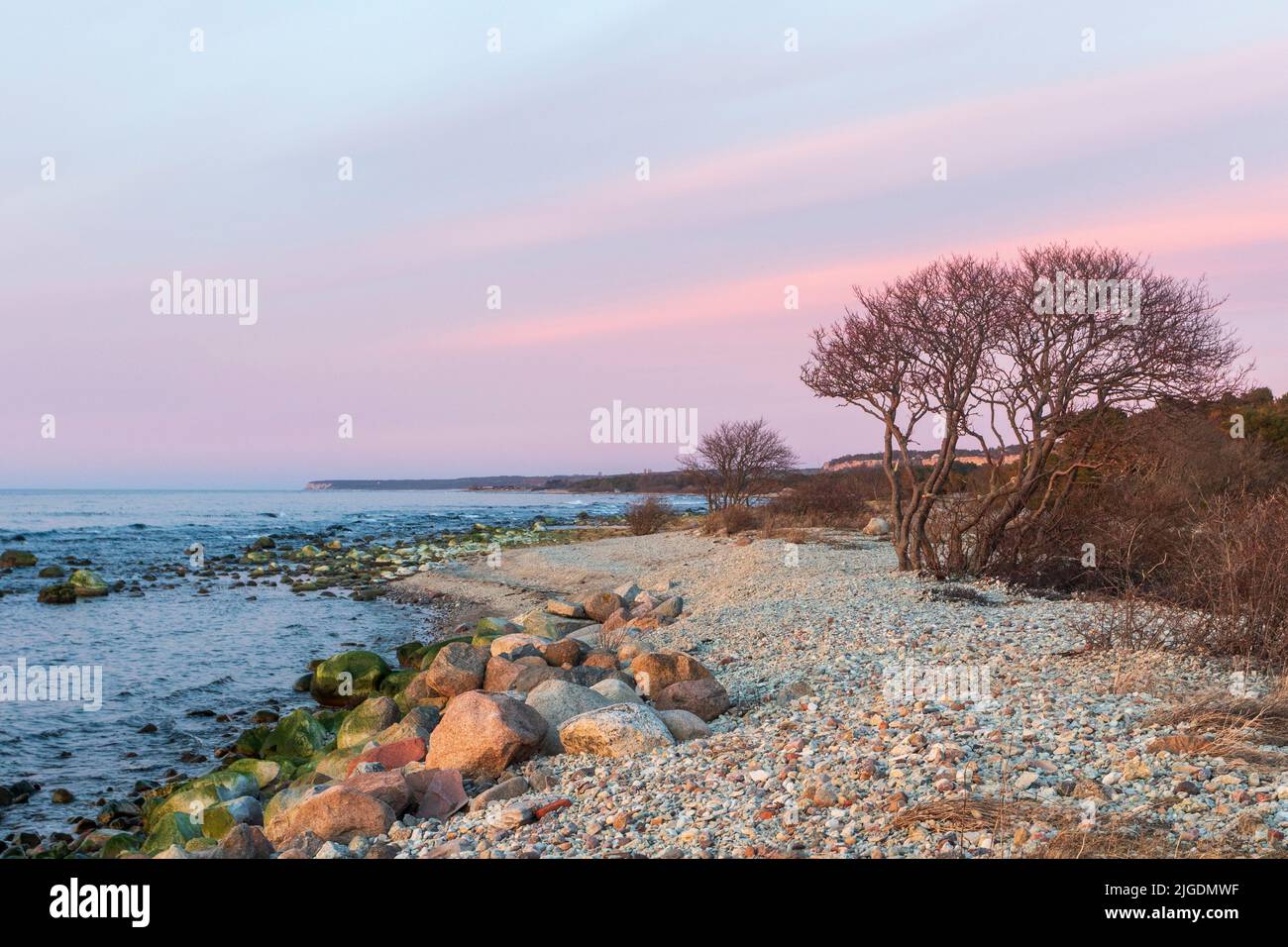 Küste auf der Insel Gotland in Schweden Stockfoto